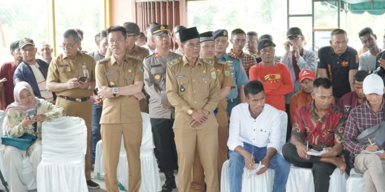 Pantau Langsung Proses Pilpeng, Bupati Rohil Ajak Masyarakat Dukung Penghulu Terpilih