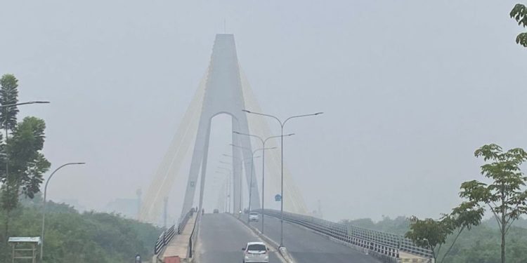 BPBD Riau: Karhutla di Riau Terkendali, Kabut Asap Datang dari Daerah Lain