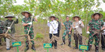Sukseskan Hanpangan Nasional 2023, Bupati Bengkalis Vidcon bersama Wapres Ma’ruf Amin