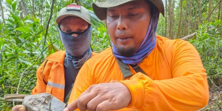 Operasi Senyap, Petugas Gabungan Kena Ranjau Paku Perambah Hutan