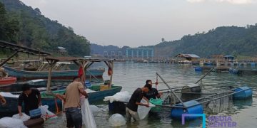 Waspada! 5 Pintu Pelimpah PLTA Koto Panjang Dibuka Setinggi 70 Cm