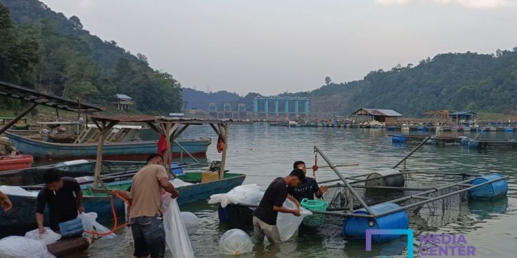Waspada! 5 Pintu Pelimpah PLTA Koto Panjang Dibuka Setinggi 70 Cm