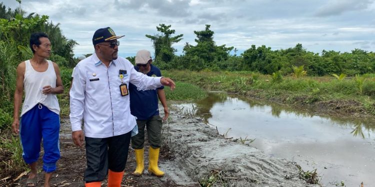 Setelah 14 Tahun, Kota Bagansiapiapi Akhirnya Meraih Piala Adipura