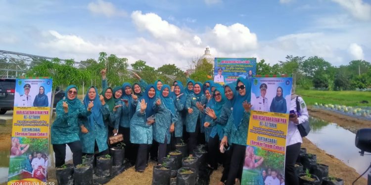 Peringati HKG PKK Ke-52, Tim Penggerak PKK Rohil Ikuti Kegiatan Penanaman Cabai Serentak Nasional