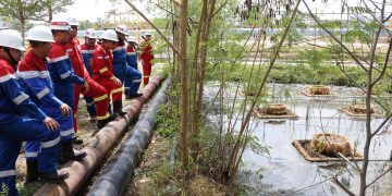 Komitmen PHR Jaga Lingkungan dengan Inovasi Lahan Basah untuk Kelola Air Terproduksi