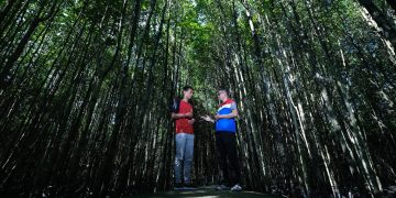 PHR Kurangi Emisi Karbon Setara Emisi 845 Mobil Melalui Konservasi Mangrove di Bandar Bakau