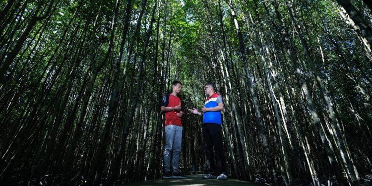 PHR Kurangi Emisi Karbon Setara Emisi 845 Mobil Melalui Konservasi Mangrove di Bandar Bakau