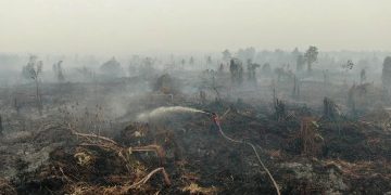 Kebakaran Lahan dan Hutan Ancaman Untuk Kawanan Gajah 
