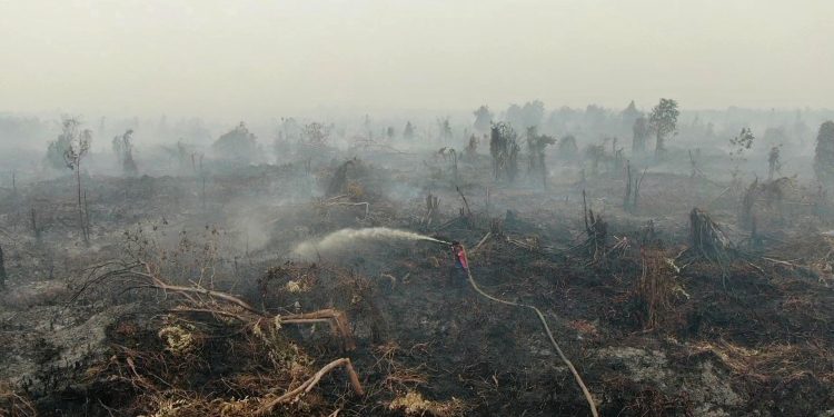 Kebakaran Lahan dan Hutan Ancaman Untuk Kawanan Gajah