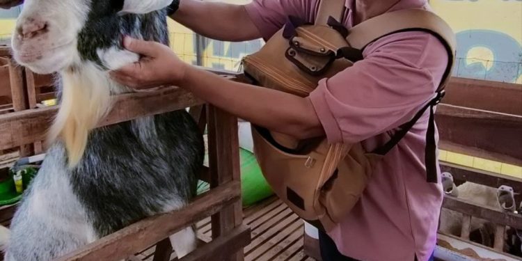 Program Pembekalan Purna Karya PHR; Tetap Profesional Memasuki Masa Pensiun