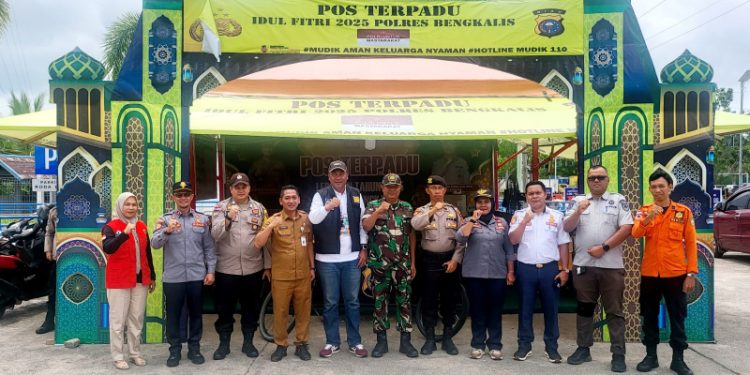 Plt. Kadis Kesehatan Apresiasi Nakes di Pos Pelayanan Mudik Lebaran