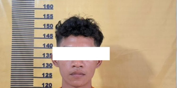 Suami Aniaya Istri di Mandau, Pelaku Diamankan Polisi