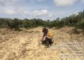 Polsek Mandau Kelola Lahan Jagung Program 1 Juta Hektar, Polres Bengkalis Dukung Ketahanan Pangan Nasional
