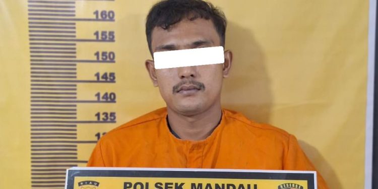 Polsek Mandau Ungkap Kasus Penyalahgunaan Narkotika Jenis Sabu dI Bathin Solapan