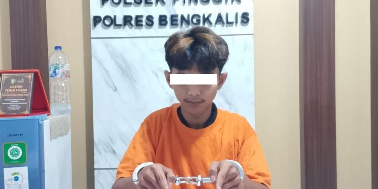 Polsek Pinggir Ungkap Peredaran Ekstasi, Satu Tersangka Diamankan