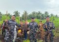 Posal Bengkalis-Muntai Panen Raya Ubi Kayu 60 Ton, di Lahan 4 Hektar
